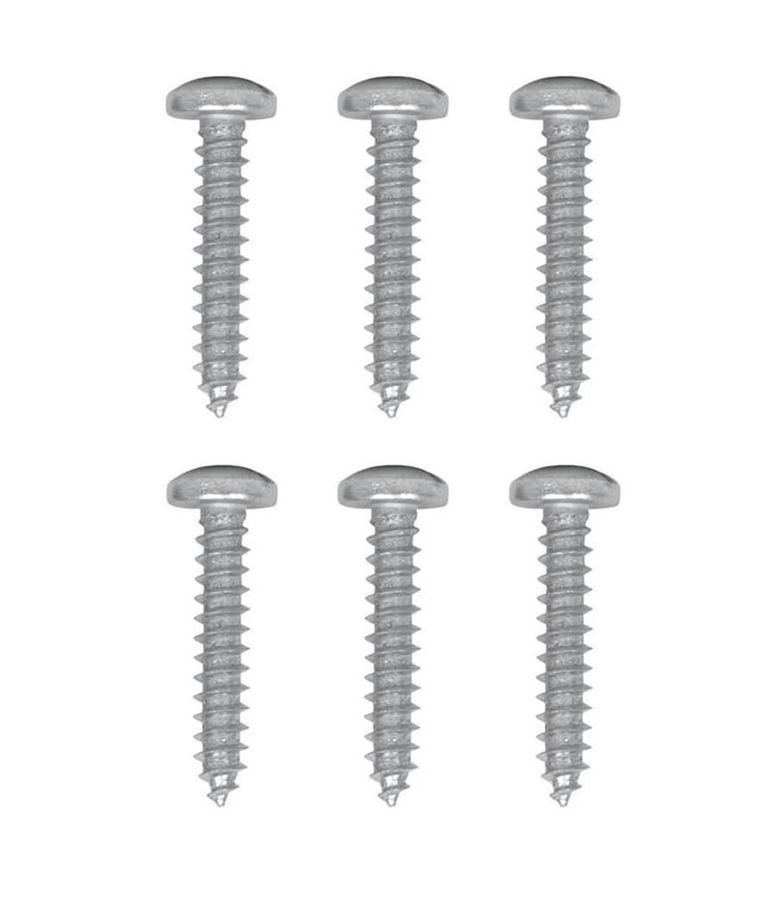 TORNILLO GOLOSO 10 X 2" X 6UND