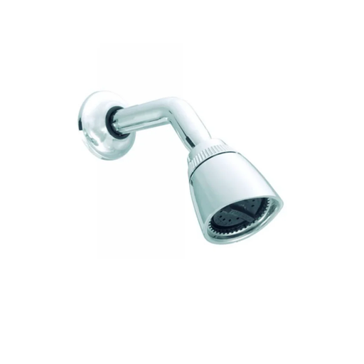 [13442] REGADERA DUCHA TRAD CROMADA PLASTGRIFOS