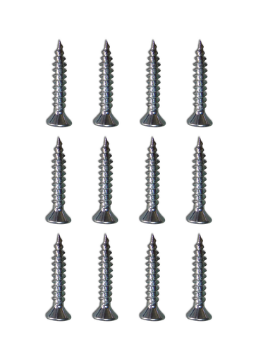 [14677] TORNILLO SUPERBOARD 1" X 12UND